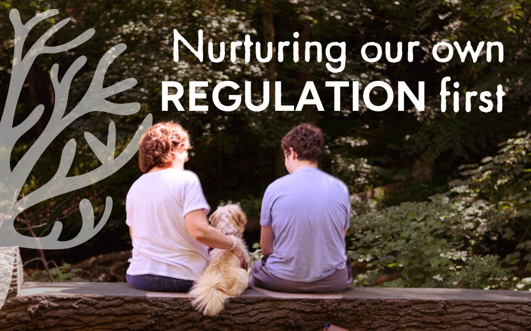 Nurturing our own regulation first