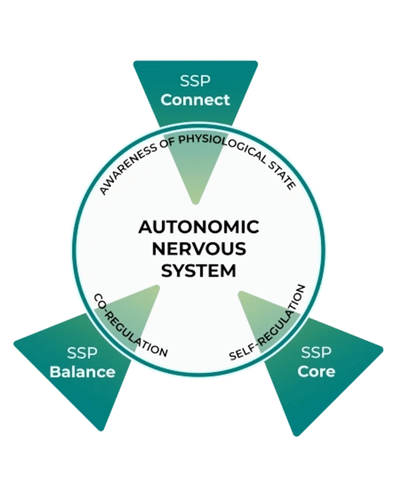 Safe and Sound Protocol (SSP) pathways image showing SSP connect, SSP core and SSP balance